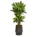 40" Corn Stalk Dracaena Plant in Ribbed Metal Planter (Real Touch)