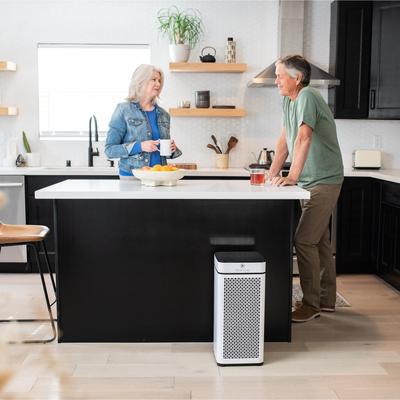 Air Purifier with True HEPA H13 Filter | 1,793 ft² Coverage in 1hr for Smoke, Odors, Pollen | Quiet Removal to 0.1 Microns