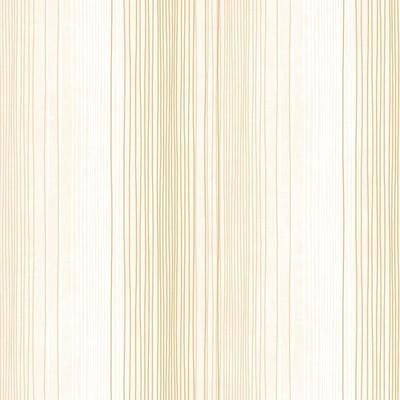 Random Stripe Wallpaper in Amber