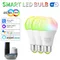 15W WiFi Smart Light Bulb E27 LED RGB Lamp Work with Alexa Google Home Alice Voice Control RGB+CW+WW