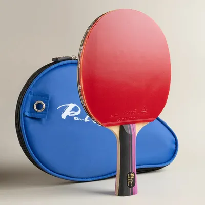 Original PALIO 3 Stars Carbon Table Tennis Racket with CJ8000 Rubber Loop Offensive Spin Attack Ping