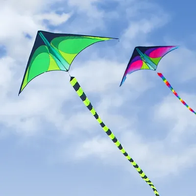YongJian large delta kites flying for adults kites Outdoor Toys For Kids Kites Handle Include Nylon