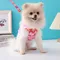 Dog Harness Leash Set Cat Vest Pug Leash Walking Tool Walking Lead Dog Accessories Pet Supplies