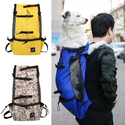 More+Pet+Supplies