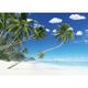 Ceanothe - Tableau sur verre plage de palmiers 30x45 cm - Impression sur Verre - Image hd imprimée