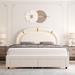 Willa Arlo™ Interiors Mazelina LED Bed, Upholstered Platform Storage Bed w/ 2 Drawers Velvet in Brown | Full | Wayfair