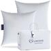 Lincove Luxury Throw Pillow Insert: Premium Comfort, 100% Cotton Shell, Down Alternative Filling - 2 Pack