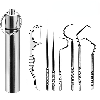 7pcs Dental Flosser Picks Set, Stainless Steel Tooth Pick Set, Deep Cleaning Dental Floss, Portable Hygienic Flosser With Holder For Travel Daily Life