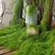 30/50g Artificial Fake Moss, Diy Simulation Moss Grass Micro Landscape Layout, Green Plant Lawn Potted Plant Window Decoration Landscape Design