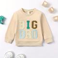 Baby Boys Big Brother Sweatshirt, Kid Embroidered Sweatshirt Toddler Clothes