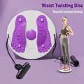 Waist Twisting Disc With Handles, Trims Waist Arms Hips And Thighs Waist Training Foot Massage Plate With 6 Magnets Fitness Twister Workout Home Gym Body Building Fitness Equipment