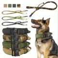 Collier et laisse tactiques pour chien, colliers pour chien militaires robustes, ensemble collier et laisse réglable pour chien