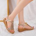 Damen Sandalen Bling-Bling-Schuhe Boho Hochzeit Party Outdoor Geometrisch Sommer Schnürsenkel Plattform Keilabsatz Offene Spitze Böhmen Urlaub PU Halbschuhe Silber Schwarz Gold