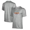 Youth ProSphere Gray Hobart & William Smith Colleges Baseball T-Shirt