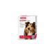 Beaphar | WORMclear? Tablets for Dogs up to 40kg | Kills All Common UK Intestinal Worms (Roundworms & Tapeworms) | Vet Strength Treatment |