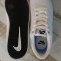 Nike Shoes | Nike Sb Check Sneakers White Canvas | Color: White | Size: 10