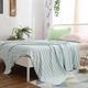 NIZAME Soft Breathable Blanket, Throw Blanket for Hot Weather, Bamboo Fiber Ice Blanket, Summer Bed Blanket Queen Size (Color : Blue stripe, Size : 180X200cm)
