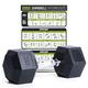 PhysKcal Hex Dumbbells 27.5kg Single, Odourless Poly Rubber Encased Dumbbells Set 2.5KG 5KG 7.5KG 10KG 12.5KG 15KG 20KG Home Gym Weights Set