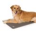 Pet Products Deluxe Lectro-Kennel Heated Pad Dog Bed, 28.5" L X 22.5" W, Gray, Large