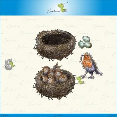 Home bird's nest metal cutting dies 2022 new DIY molds Scrapbooking Paper Making die cuts crafts Printed Sheet