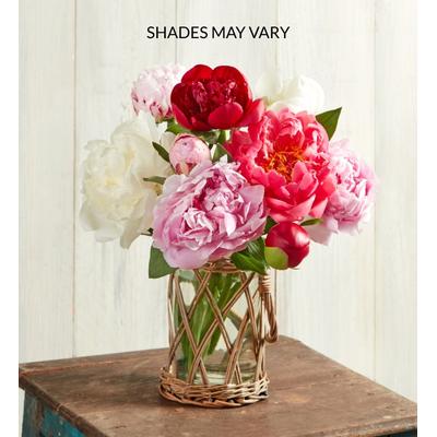 1-800-Flowers Flower Delivery Growers Choice Peony Bouquet 10 Stems W/ Wicker Vase