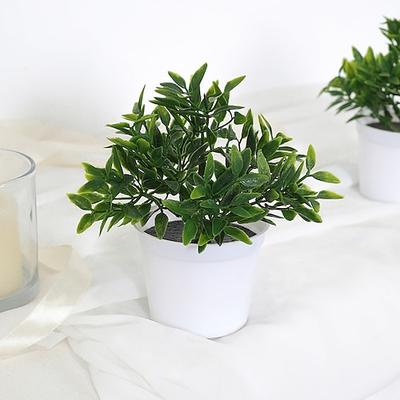 plante à thé miniature réaliste plante en pot