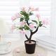 Realistic Peach Tree Potted Plant
