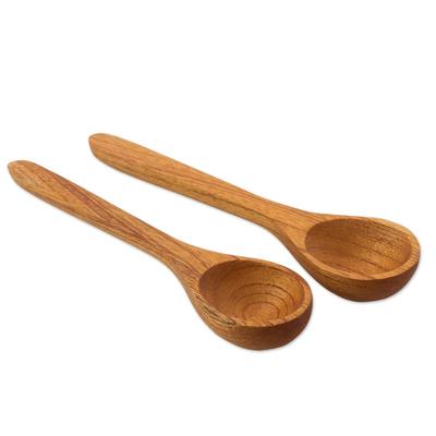 Cedar wood serving spoons, 'Nature's Treat' (pair)