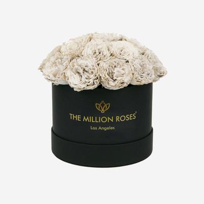 Classic Black Dome Box | Off White Carmen Roses