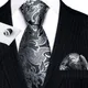 Luxus Herren Krawatten Set Seide Schwarz Silber Weiß Floral Rot Blau Gold Floral Krawatte Hanky