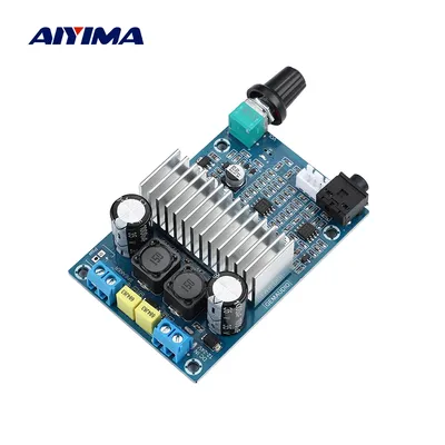 AIYIMA-Carte d'amplificateur de puissance TPA3116 100W amplificateurs de son mono caisson de