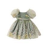 Toddler Girls Dress Flower Embroidered Ruched Mesh Short Sleeve Baby Dress Summer Casual Princess Dres