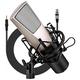 Beelooom Mobile Phone Voice Conference Video Microphone Anchor Recording K Song Condenser Microphone with Shock Mount