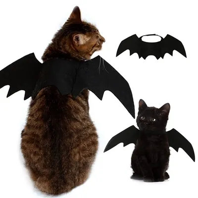 Pet+Costumes