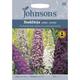 Johnsons Seeds - Pictorial Pack - Flower - Buddleja Mixed - 150 Seeds