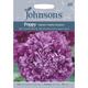 Johnsons Seeds - Pictorial Pack - Flower - Poppy Purple Passion - 750 Seeds