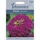Johnsons Seeds - Pictorial Pack - Flower - Zinnia Purple Prince - 60 Seeds