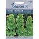 Johnsons Seeds - Pictorial Pack - Flower - Bells of Ireland - 175 Seeds
