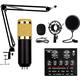 ELzEy Microphone Kit, Condenser Microphone Set With Adjustable Microphone Arm Stand For Streaming, Dubbing, Vocal Microphones