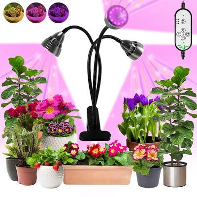 Voll spektrum LED Grow Lights für Zimmer pflanzen Schwanenhals Clip-On Pflanzen lampe Sämlinge dimmbar wachsende Beleuchtung Timer Phytolamp