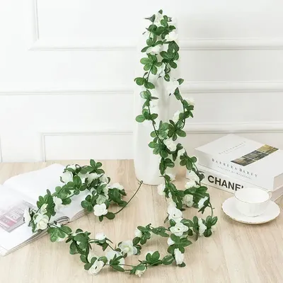 Flowers+Plants