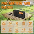 XHDATA D-109WB AM FM Stereo SW MW LW Sveglia digitale Radio portatile con batteria ricaricabile USB-C e previsioni del tempo