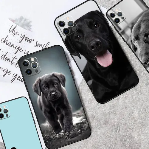 Schwarze Labrador Hund Handy hülle für iPhone 11 12 13 14 15 Pro Max Mini 14 15 plus x xr xs max 7 8