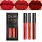3pcs Matte Liquid Lipstick Sets, Dark Red And Nude Red Color Long Lasting Smudge Proof Lip Glaze, Rich Color Rendering Lipsticks Valentine