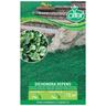 Olter - Dichondra Repens Disponibile nei Formati da 100 - 200 gr - size 500 gr