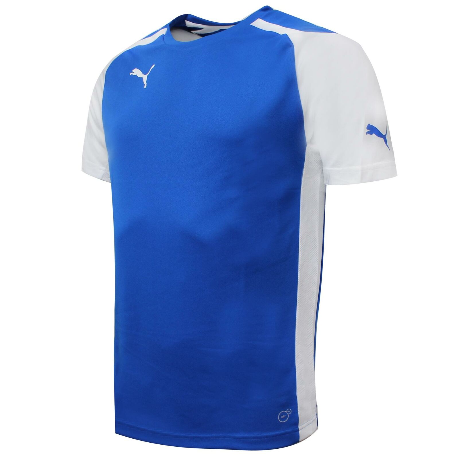 Puma Speed Jersey Training Fitnessstudio Sport T -Shirt Blue - Herren Image