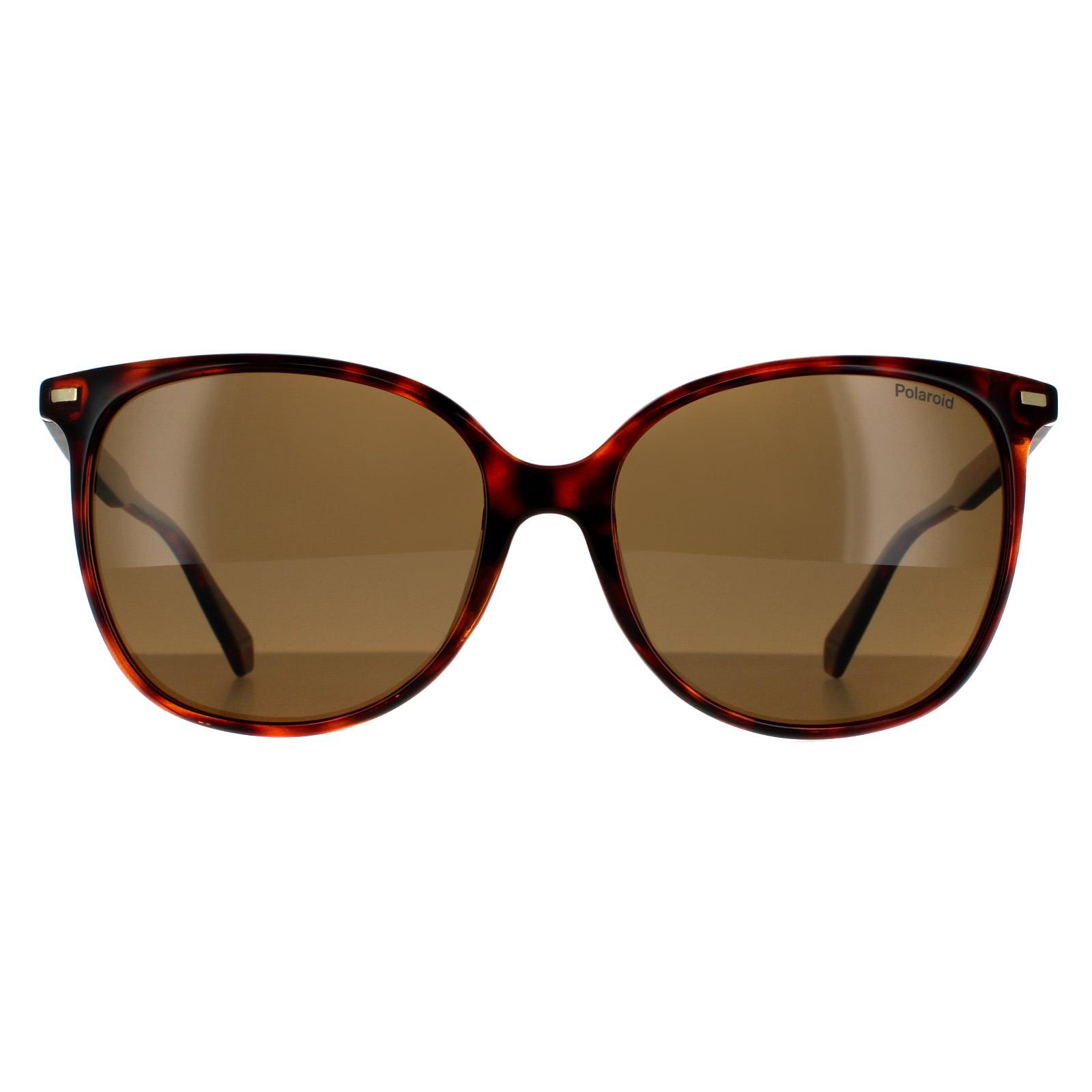 Polaroid Cat Eye Womens Dark Havana Bronze polarisierte Sonnenbrille Image
