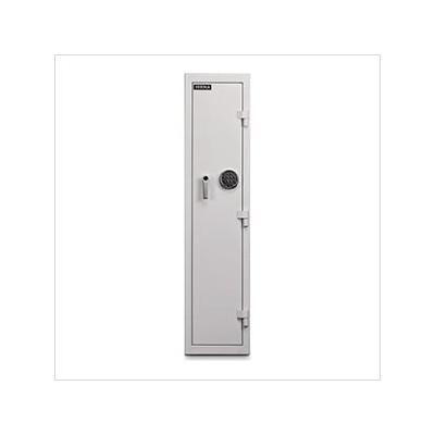 Mesa Safe Company Single Door Pharmacy Safe (White)