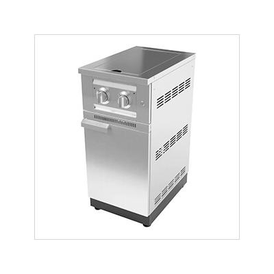 NewAge Outdoor Kitchens Stainless Steel Dual Side Burner and Cabinet (Liquid Propane)