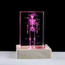 Figurine di cubo di cristallo scheletrico umano inciso al Laser 3D regali di scienze mediche